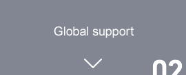 Global support